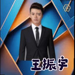 王振宇